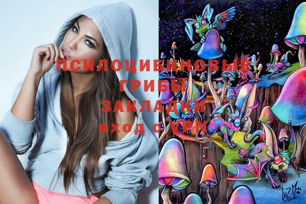 мяу мяу мука Новокубанск