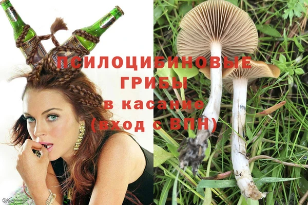 spice Алексин