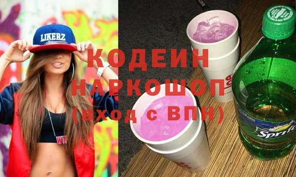 хмурый Алзамай
