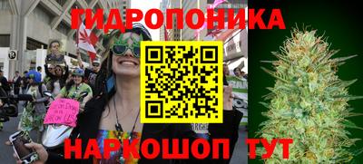ECSTASY Рузаевка