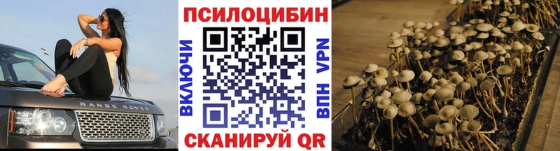 shop состав  Тамбов  Галлюциногенные грибы Psilocybe 