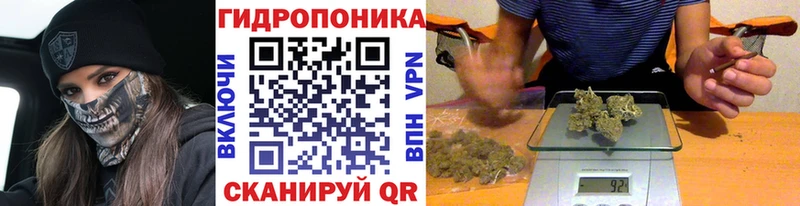 Бошки марихуана SATIVA & INDICA Тамбов